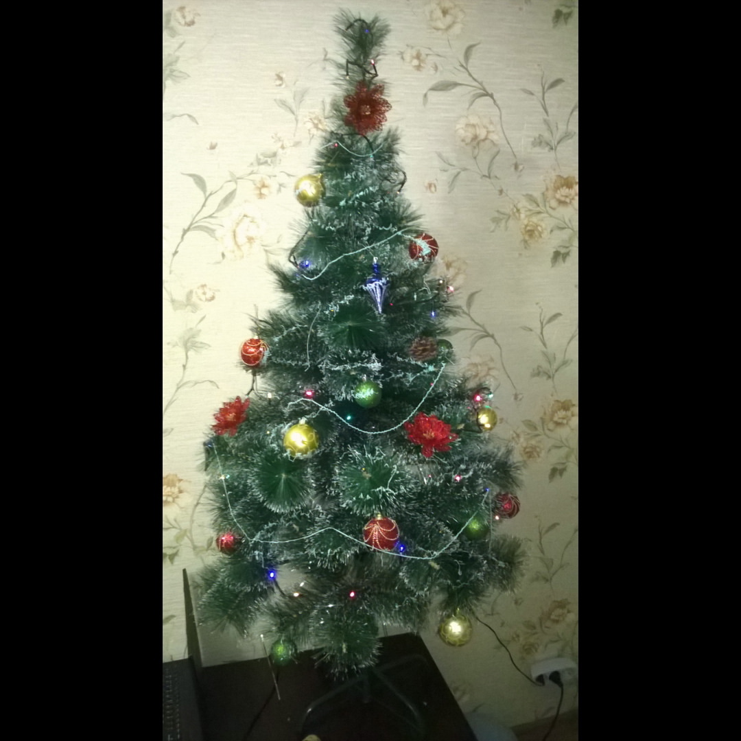 elenarudneva3144 в LOOKY — Наша елочка#елка#дома#новыйгод#обнинск
