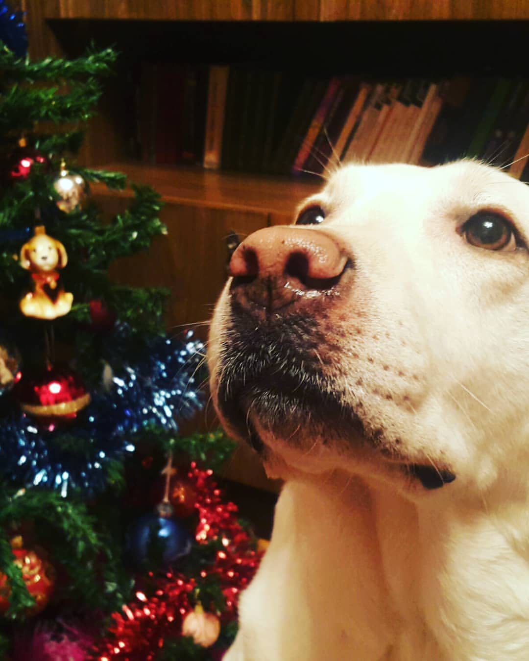 nemnogo.neskromno в LOOKY — фото 6