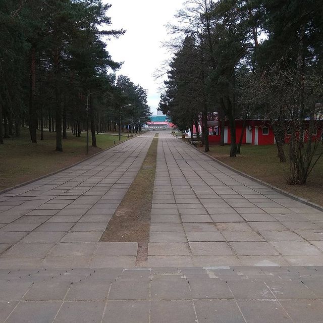 therealkaray в LOOKY. . null