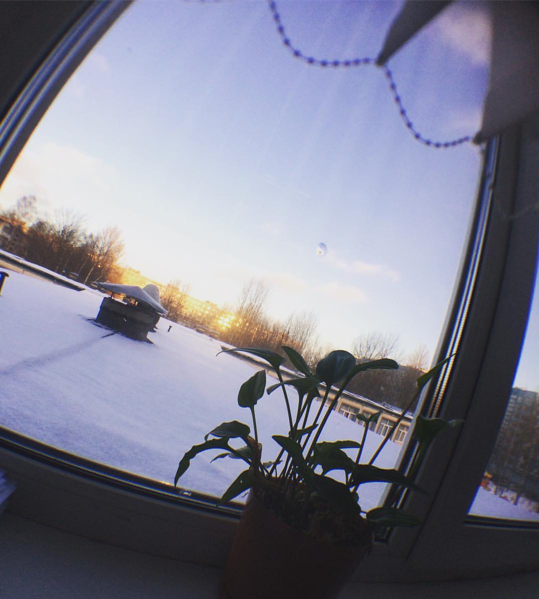_anastaseevna_ в LOOKY — Мороз и солнце!❄️❄️❄️ День чудесный!☺️
#всемхорошегодня#зима