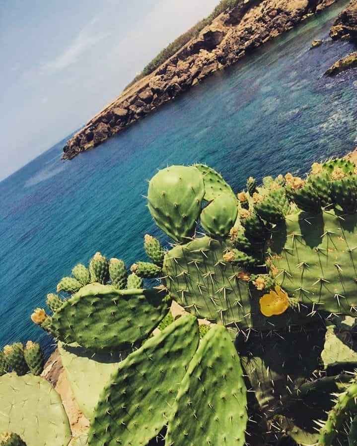 dh.aboubakr в LOOKY — Summer, sea and adventure