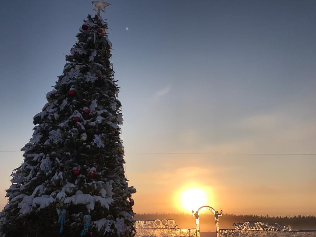 mariaegorrova в LOOKY — Маленькой ёлочке холодно зимой 🎄 с площади елочку скоро мы 