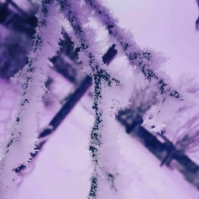 oykinak в LOOKY. #зима#красота💜💜💜. #зима#красота💜💜💜