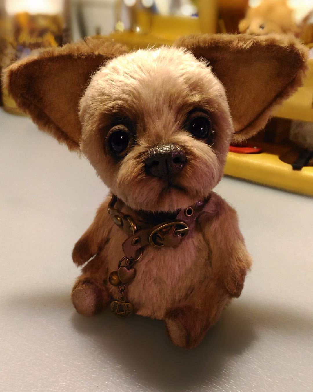 irina_marakueva в LOOKY — Fly. Мальчик Чупик 🍭 . В роду были чихуахуа. 🐶😊 Фото врем