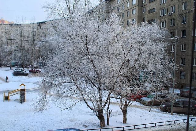 stastmn в LOOKY. #Тюмень,#видизокна. #Тюмень #видизокна