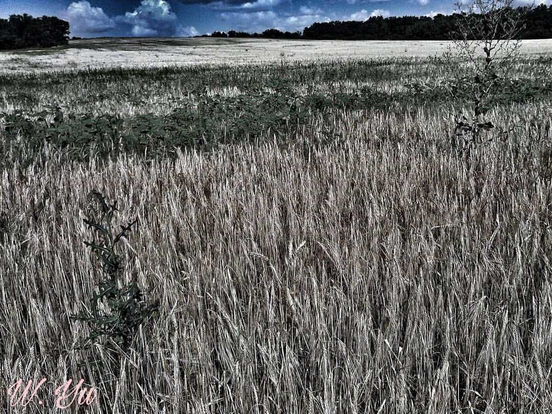 witch_vision.w_yu в LOOKY — фото 3