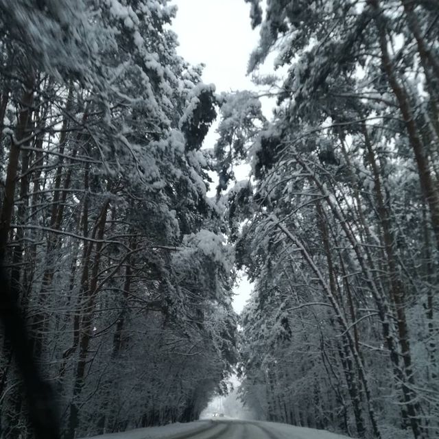 mashenkatelegina в LOOKY. . Дорога на работу)))