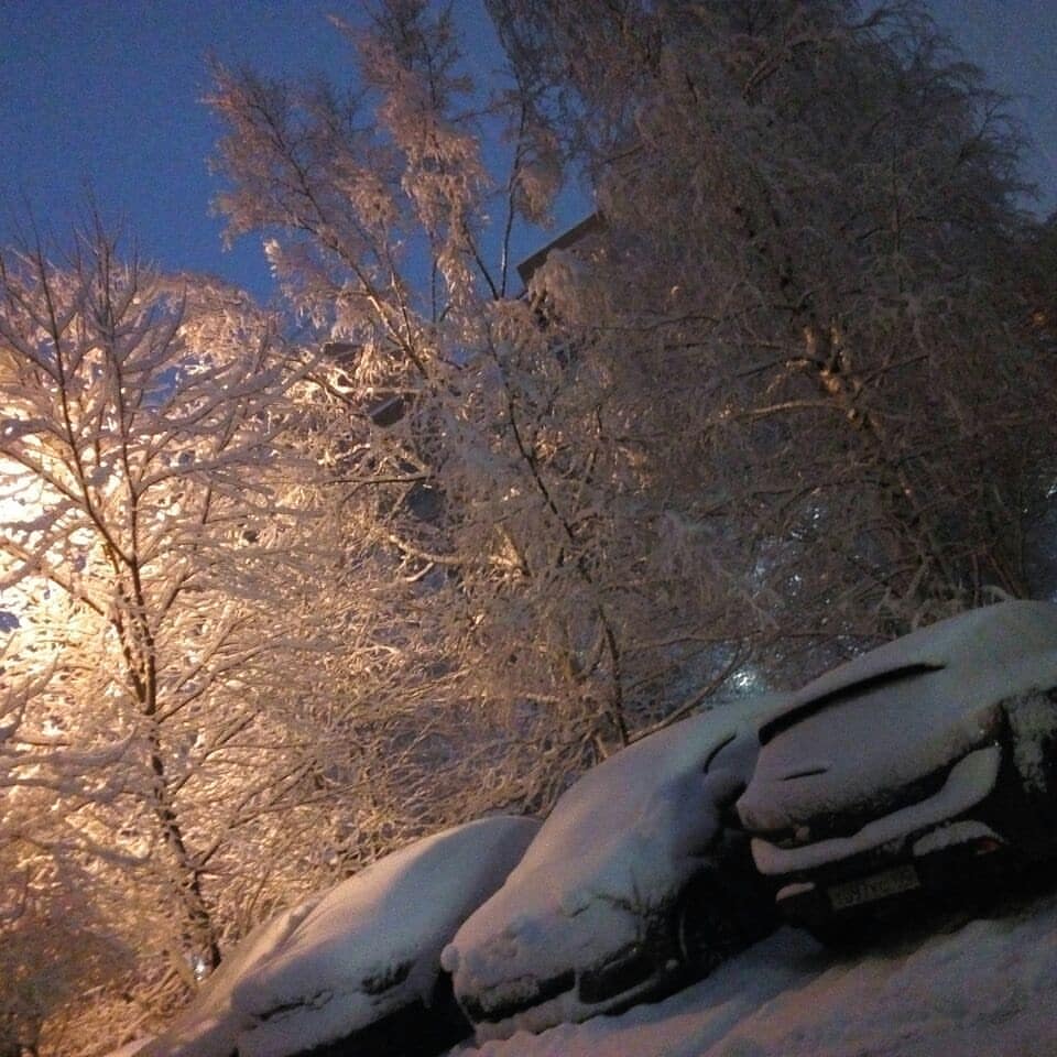 mashenkatelegina в LOOKY — Три берёзы под моим окном)))