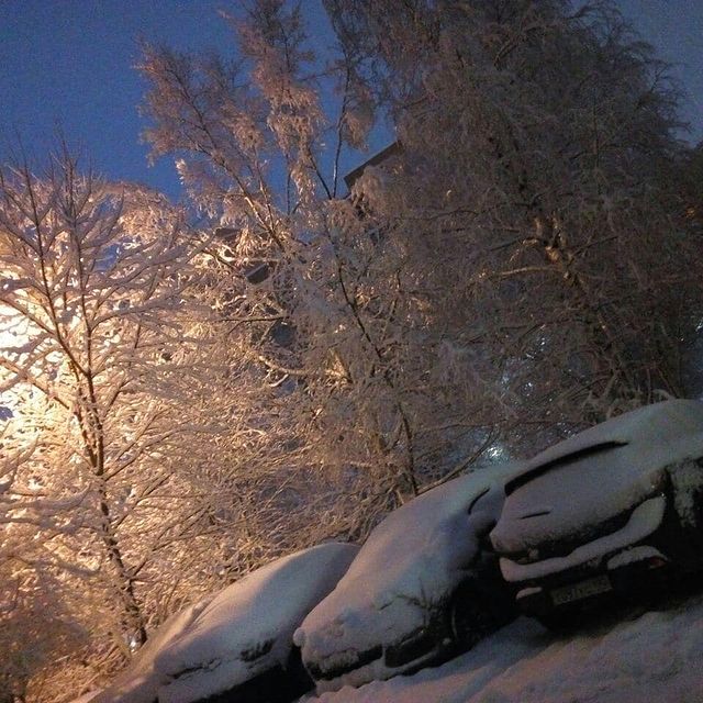 mashenkatelegina в LOOKY. . Три берёзы под моим ...