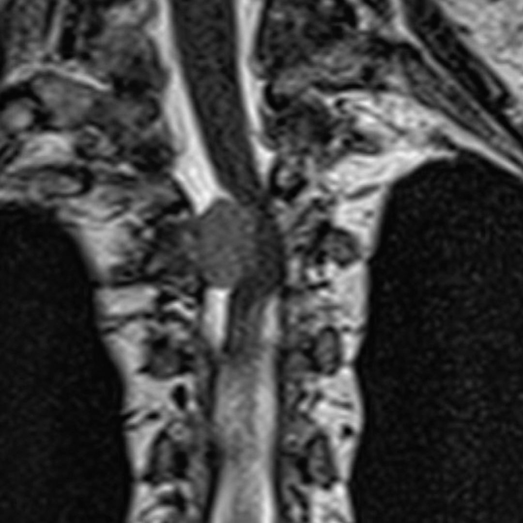 russianradiology в LOOKY — фото 2