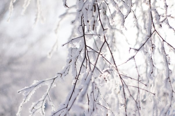 mrdenrah в LOOKY. #Зима,#Природа,#Снег,#Winter,#Nature,#Snow. #Зима #Природа #Снег...