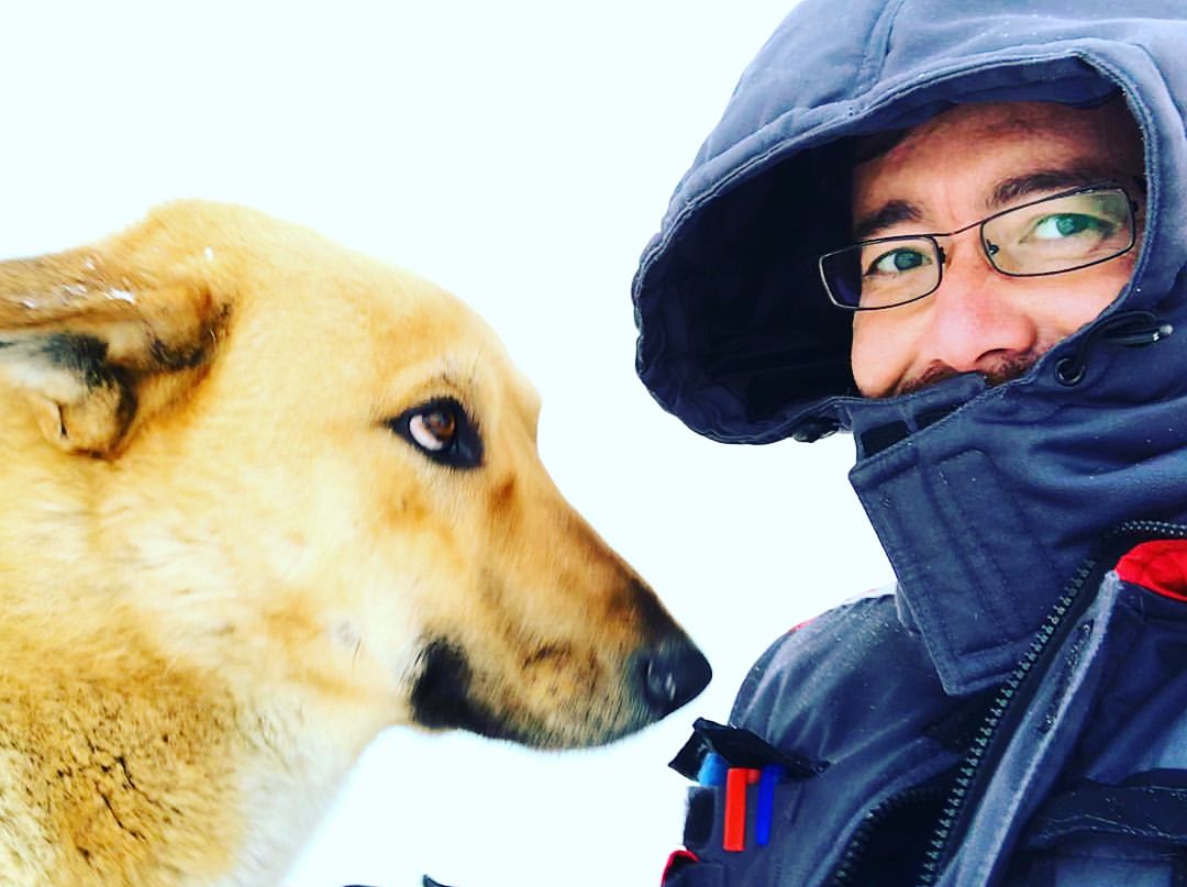 kasimov.marat в LOOKY. #годжелтойсобаки,#годсобаки2018,#newyear2018,#2018,#китайскийкалендарь,#собака,#собаки,#зима,#зима2018,#новыйуренгой,#noviyurengoy. Живой талисман на 20...
