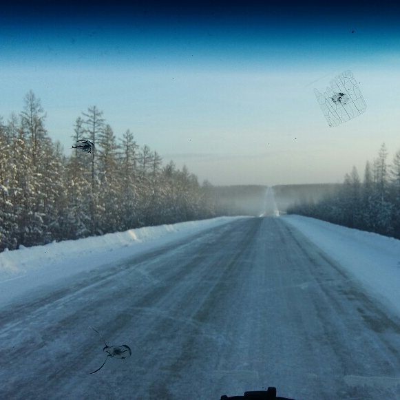 trofimmarkov в LOOKY — фото 5