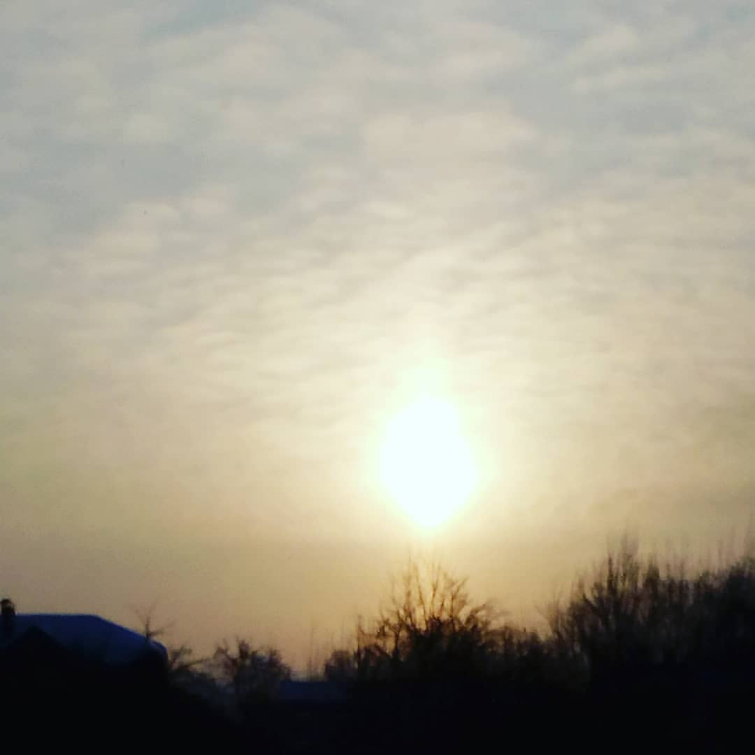 lisafoxy_ в LOOKY — Доброе морозное утро
#утро #мороз