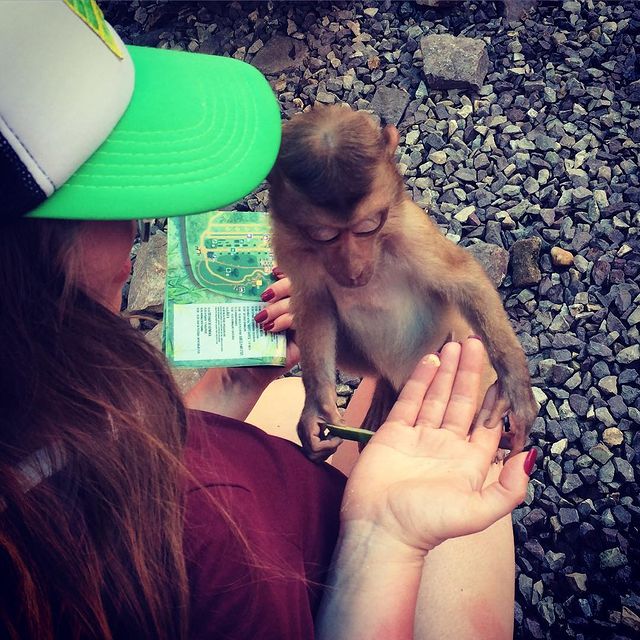 kiska.ket в LOOKY. #dolcevitaeco,#vietnam,#дольчевитавьетнам. Гадает исключительно...