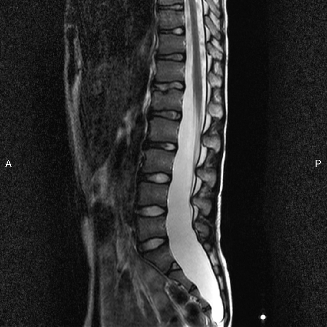 russianradiology в LOOKY — фото 3