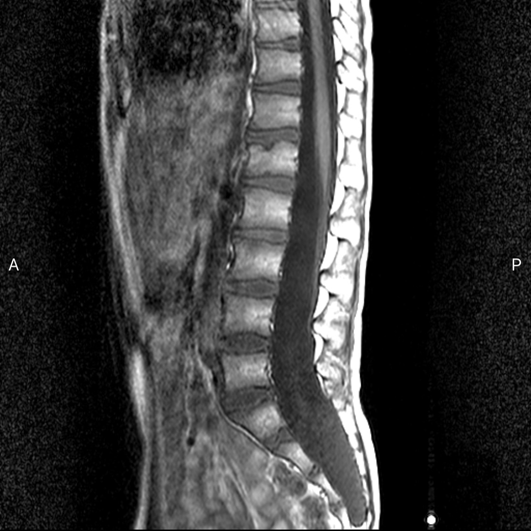 russianradiology в LOOKY — фото 2