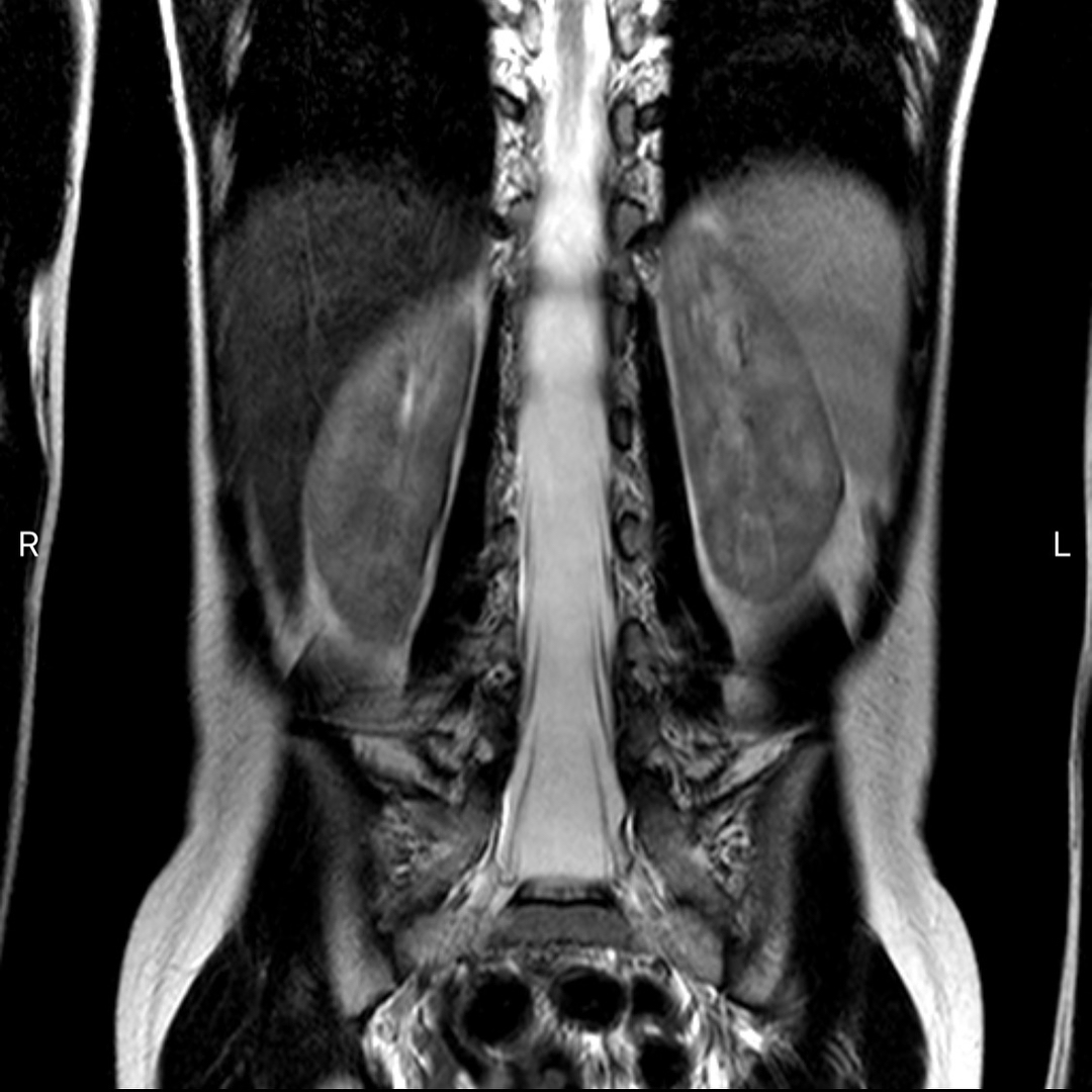 russianradiology в LOOKY — фото 4