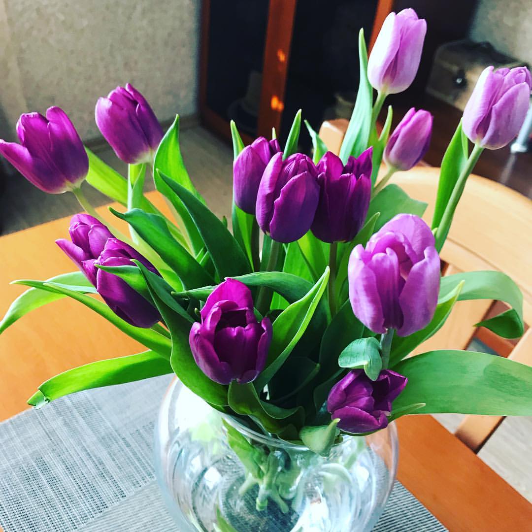 gipsophyla in LOOKY. . Подумаешь, -20 за ок...