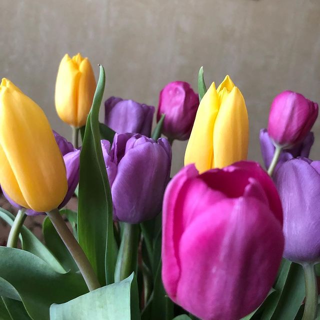 akirina_n в LOOKY. . Весенние краски 🌷