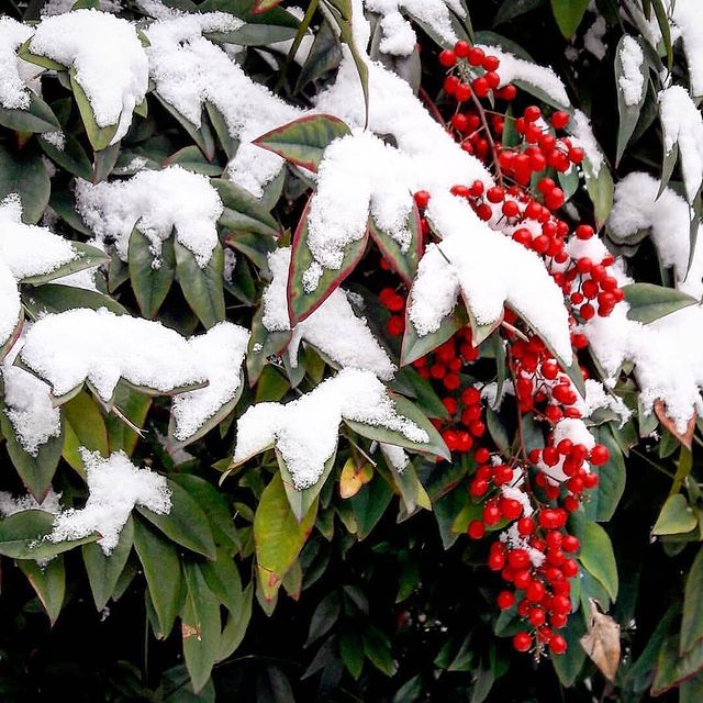 geliya_08.1984 в LOOKY. #вернуласвоюстаруюстраничку🎉🎊. #вернуласвоюстаруюст...