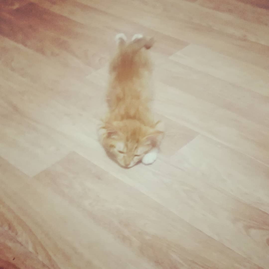 v_e_r_a_sleptsova in LOOKY. . Чкрк ньаhаа минньигэ...