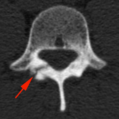 russianradiology в LOOKY — фото 2