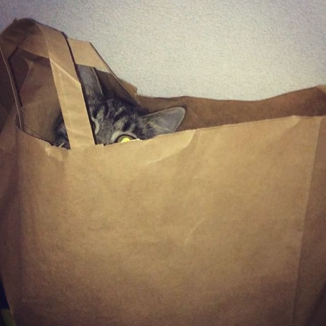 florenciyaa в LOOKY. . Когда икеевский паке...