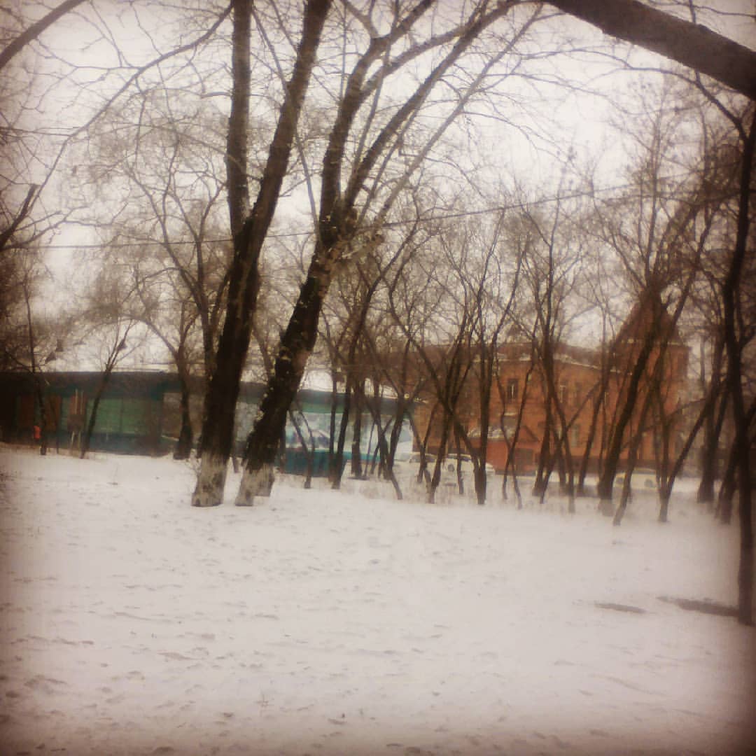 nikitka_gurov в LOOKY — публикация
