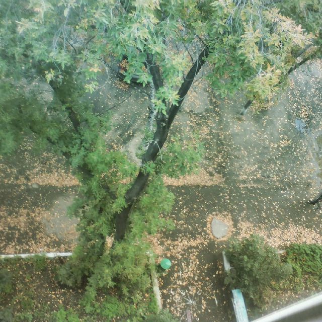 nikitka_gurov в LOOKY. . null