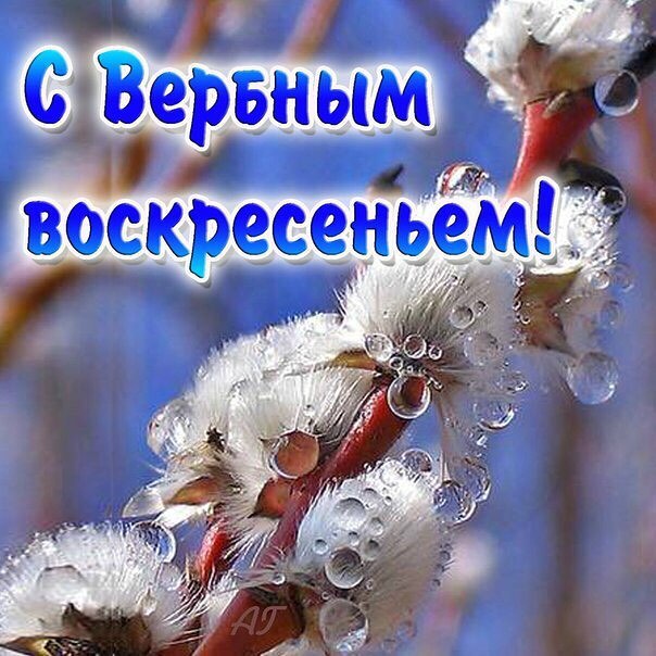 geliya_08.1984 в LOOKY. . null