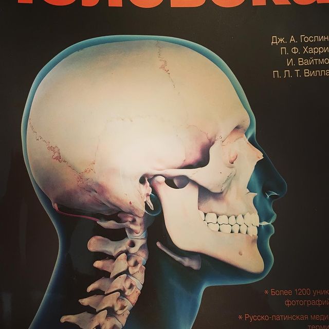 osteosmekhova в LOOKY. #молодостьлица,#миовитоника,#revitatechnology,#смехованаталия,#revitaface. Говорят, раньше в со...