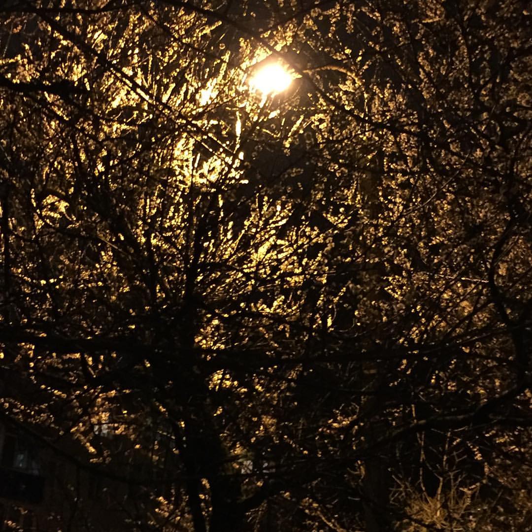 demented_cheshire_ в LOOKY — #beauty_of_nature