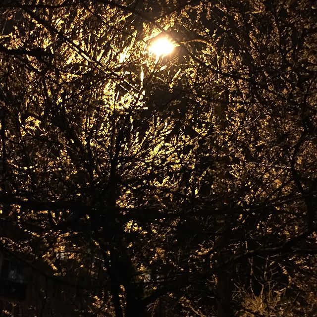 demented_cheshire_ в LOOKY. #beauty_of_nature. #beauty_of_nature