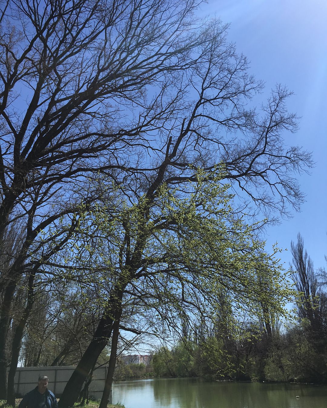 tkacheva_marina в LOOKY — фото 8
