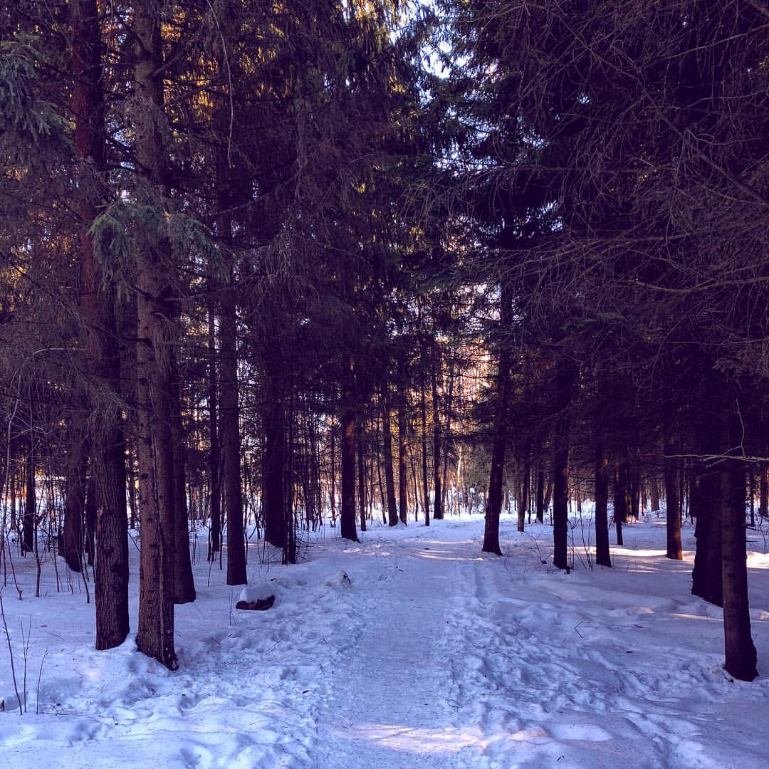 ermlv в LOOKY — #forest #lobnya