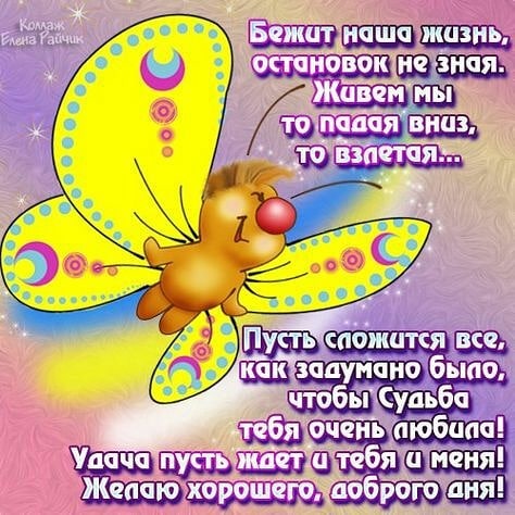anytoch_ka73 в LOOKY. . Всем хорошего дня и ...