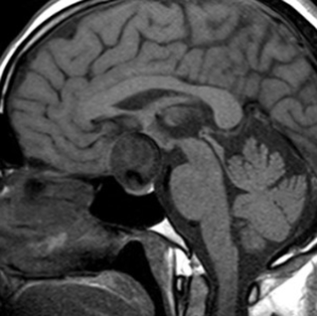 russianradiology в LOOKY — фото 2