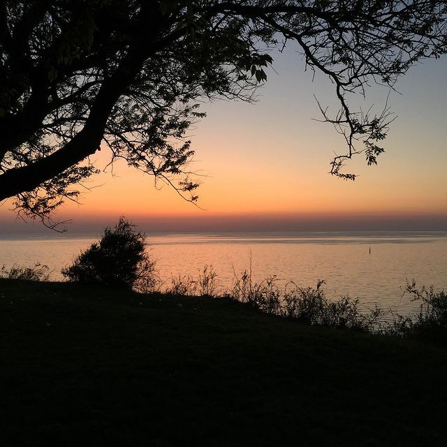 demented_cheshire_ в LOOKY. #likes,#likesforlikes,#likes4likes,#likesforfollow,#likebackteam,#follow,#followme,#follow4follow,#followforfollow,#followback,#followher,#comment,#commentback,#comments,#commentforcomment,#nature,#naturelovers,#nature_perfection,#sunset,#sunsets,#sunset_madness. #likes #likesforlike...