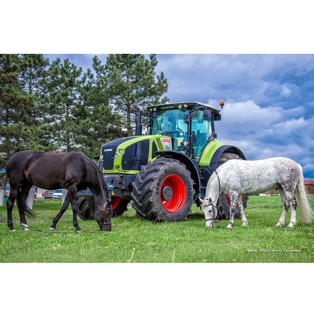 poziruem в LOOKY. #Claas,#клаас,#ипподромКраснодар,#yugtimes,#kommersant,#лошадь,#лошади,#кони,#крд,#краснодар,#krd,#krasnodar,#трактор,#семенецконстантин,#бендиш,#ральфБендиш,#РальфеБендише,#RalphBendish,#Bendish. В продолжение двух к...