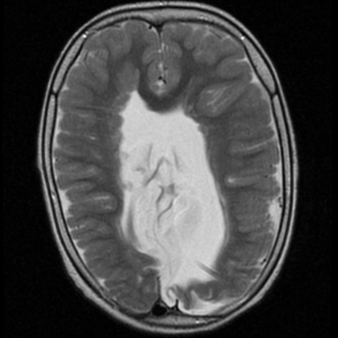 russianradiology в LOOKY — фото 2