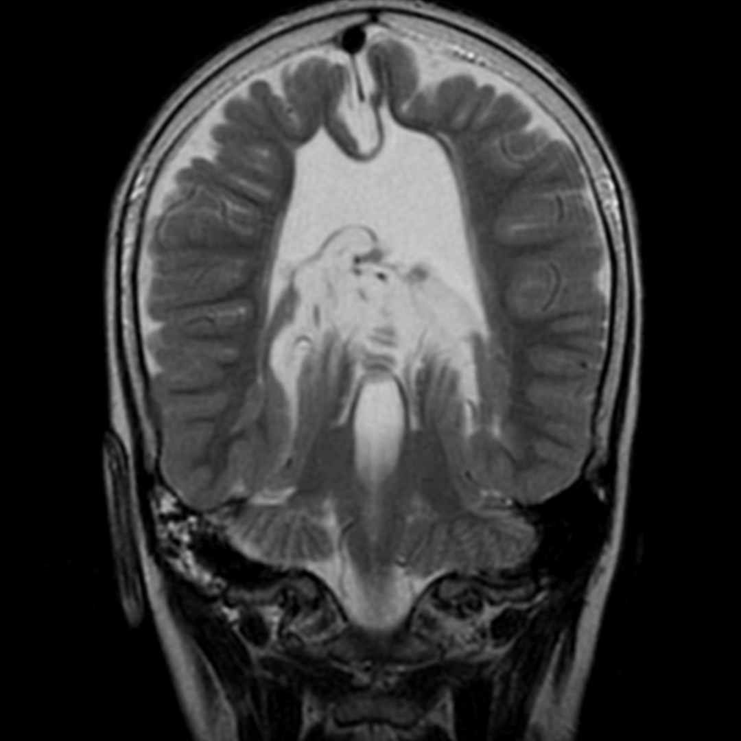russianradiology в LOOKY — фото 4
