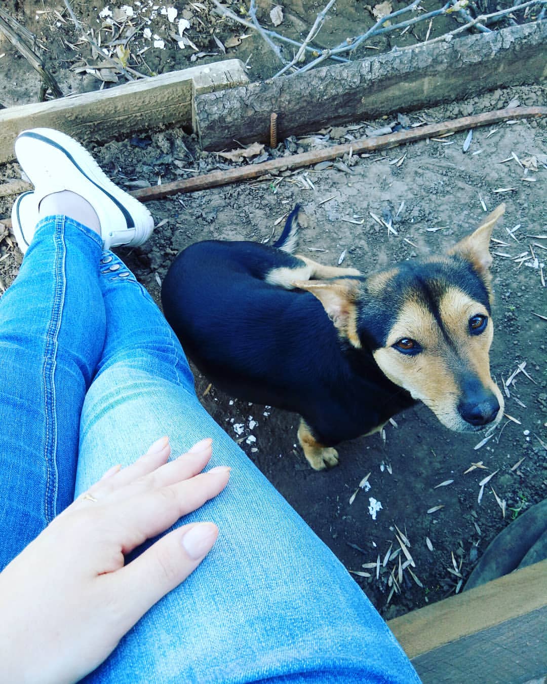 katarinka_kiri в LOOKY