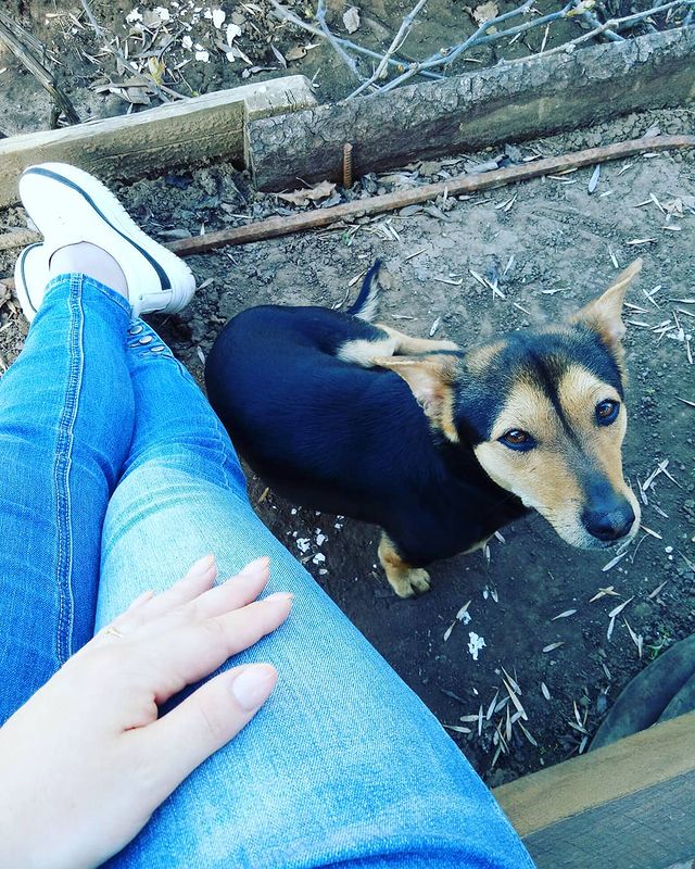 katarinka_kiri in LOOKY. #зеленыймир. Дача)  и это собачка...