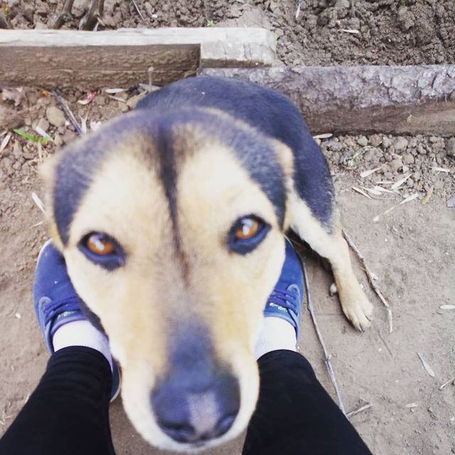 katarinka_kiri in LOOKY. . Это снова денежный п...