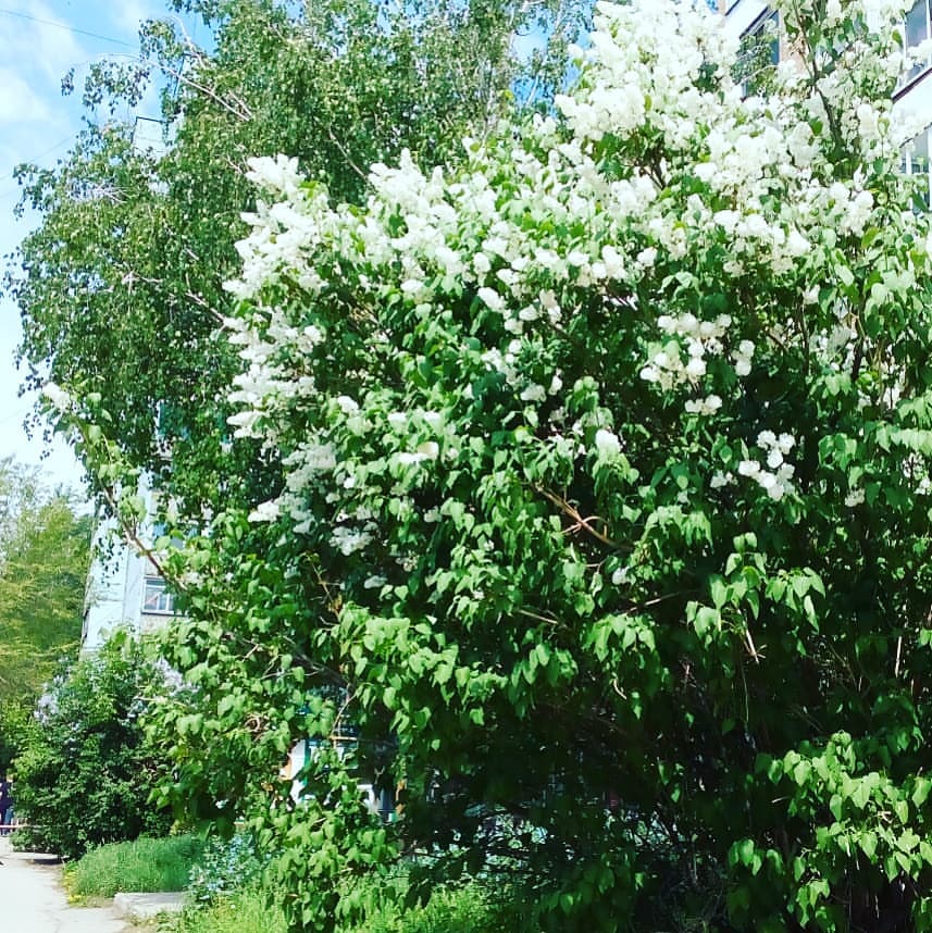 likobzareva в LOOKY — фото 2