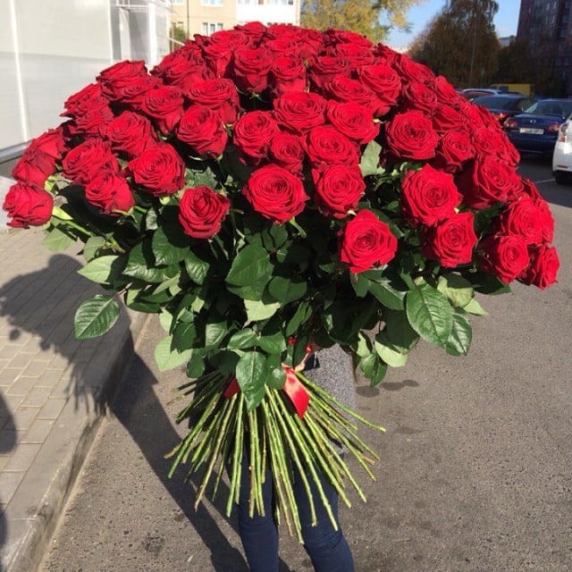 kuprinovi в LOOKY — Дарите девушкам цветы, Ведь они их так любят, Это же прекрас
