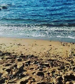 bi_bicheta в LOOKY. . null