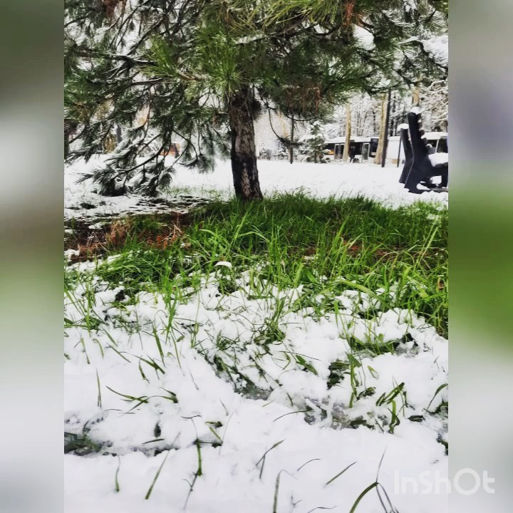 oleg_shalaginov_ в LOOKY. . 👍#снег#зима#новорос...