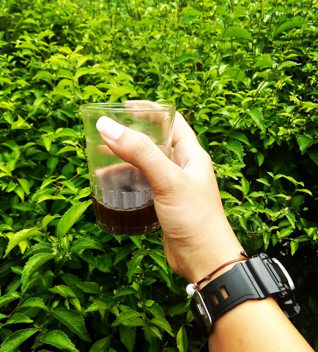 nitha_mamoot в LOOKY. . seger-a 💚